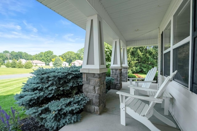 16069 Grazenview St, Schoolcraft, MI 49087 - porch with view of scattered trees