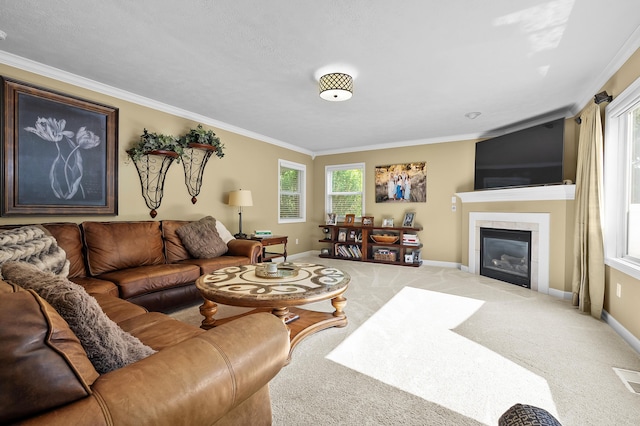 16069 Grazenview St, Schoolcraft, MI 49087 - carpeted living room featuring crown molding and a fireplace