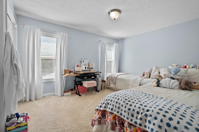 16069 Grazenview St, Schoolcraft, MI 49087 - bedroom with carpet floors and multiple windows