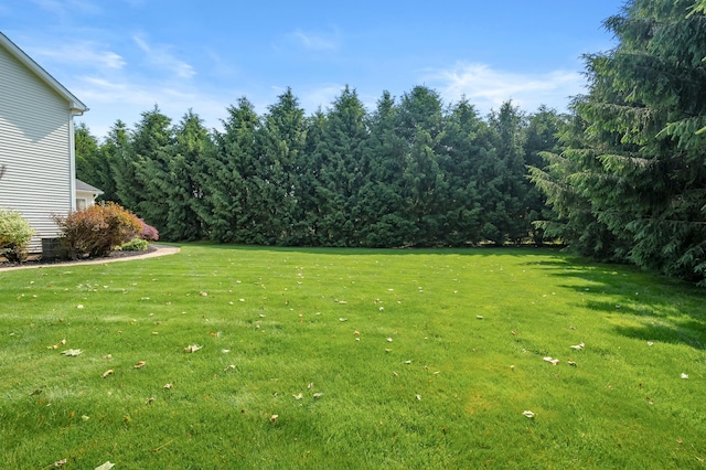 16069 Grazenview St, Schoolcraft, MI 49087 - view of grassy yard