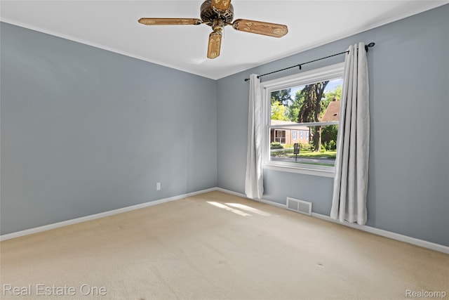 22449 Lakeland St, Saint Clair Shores, MI 48081 - photo 13