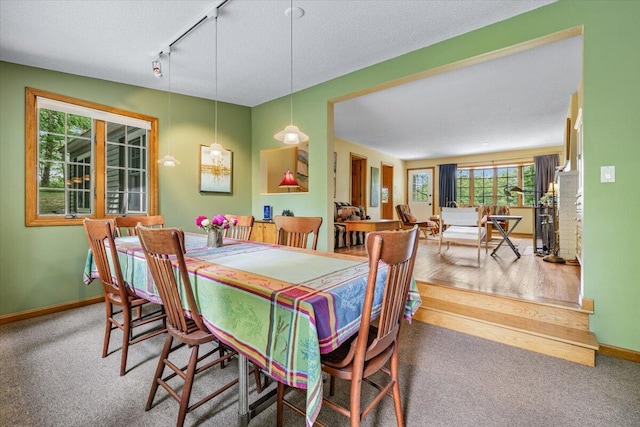 5515 Kaiser Rd, Sawyer, MI 49125 - dining space featuring track lighting and carpet floors