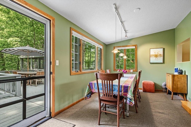 5515 Kaiser Rd, Sawyer, MI 49125 - dining room featuring track lighting, a textured ceiling, and carpet flooring