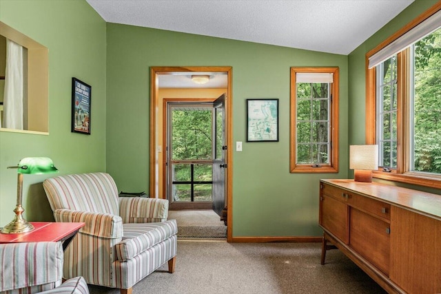 5515 Kaiser Rd, Sawyer, MI 49125 - living area with carpet floors and vaulted ceiling
