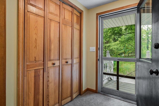 5515 Kaiser Rd, Sawyer, MI 49125 - doorway with light carpet and plenty of natural light
