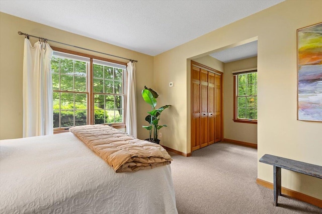 5515 Kaiser Rd, Sawyer, MI 49125 - carpeted bedroom with baseboards