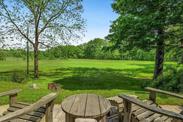 5515 Kaiser Rd, Sawyer, MI 49125 - view of green lawn