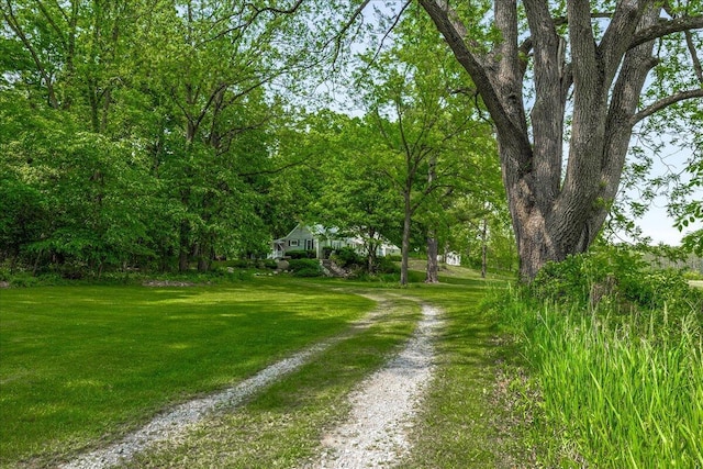 5515 Kaiser Rd, Sawyer, MI 49125 - view of dirt / gravel driveway