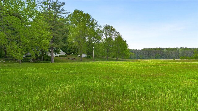 5515 Kaiser Rd, Sawyer, MI 49125 - view of yard with a forest view