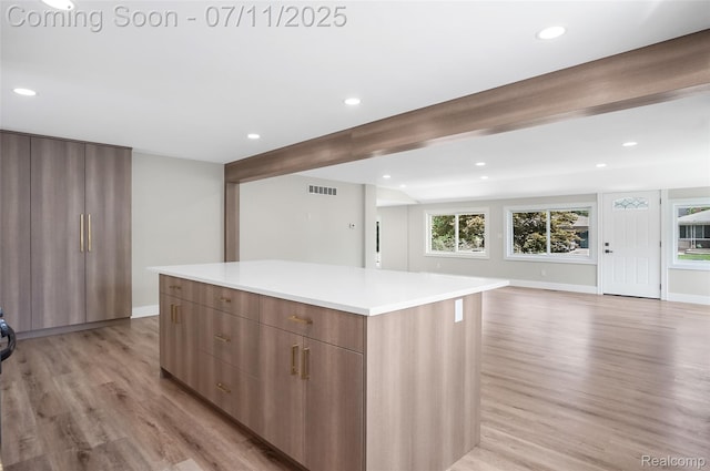 22222 Evergreen St, Macomb, MI 48082 - kitchen featuring modern cabinets, light wood-type flooring, a center island, light countertops, and recessed lighting