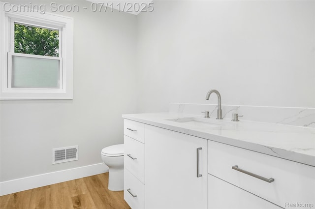 22222 Evergreen St, Macomb, MI 48082 - bathroom featuring vanity and wood finished floors