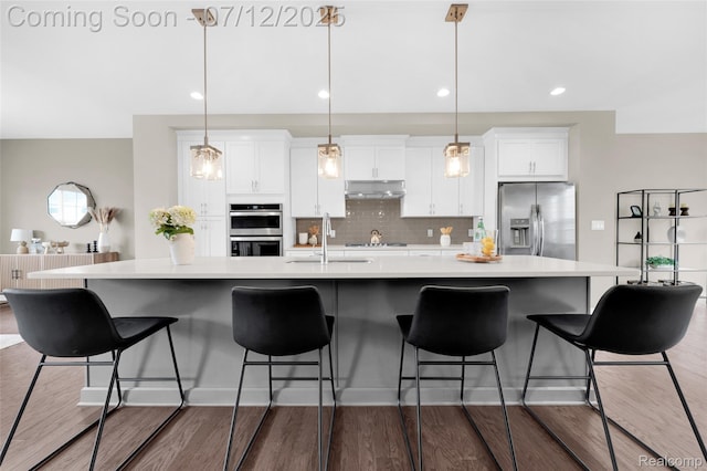 2825 Ridington Rd, Ann Arbor, MI 48105 - kitchen with stainless steel appliances, under cabinet range hood, a large island, light countertops, and dark wood-style flooring