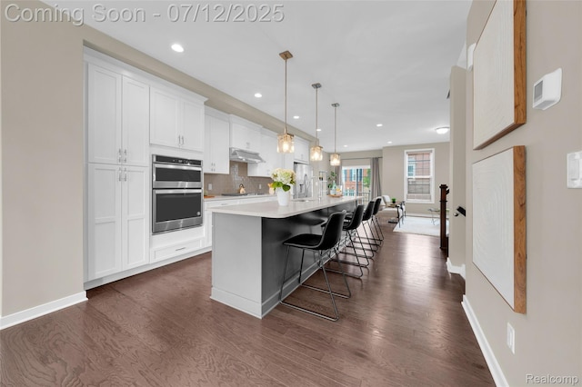 2825 Ridington Rd, Ann Arbor, MI 48105 - kitchen with stainless steel appliances, dark wood-style flooring, white cabinets, under cabinet range hood, and light countertops