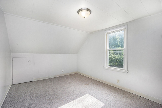 932 Parker Ave, Kalamazoo, MI 49008 - bonus room with lofted ceiling and carpet floors