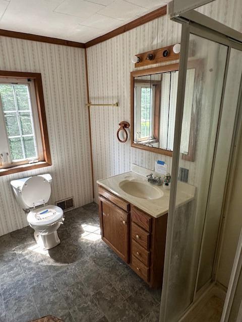 1675 E 8th St, White Cloud, MI 49349 - bathroom featuring vanity, a stall shower, and crown molding