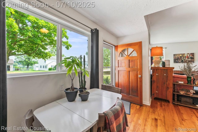 135 Bevins St, Holly, MI 48442 - dining space with a textured ceiling and light wood-style flooring