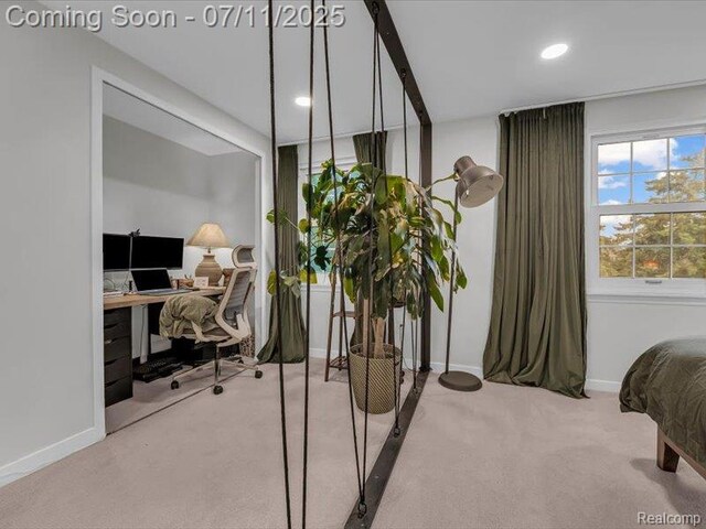 41376 Lehigh Ln, Northville, MI 48167 - photo 28