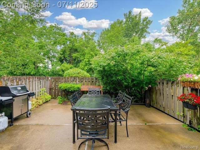 41376 Lehigh Ln, Northville, MI 48167 - photo 39