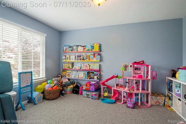 12566 Cedar View Ln, South Lyon, MI 48178 - photo 7