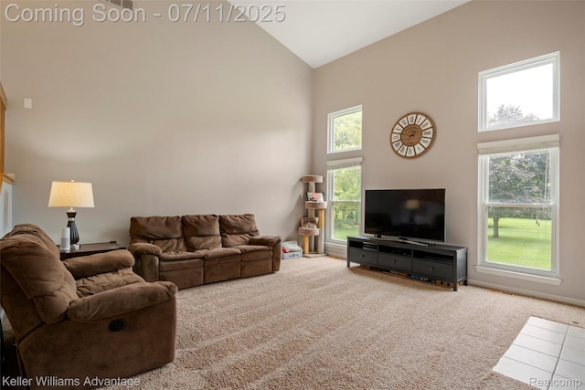 12566 Cedar View Ln, South Lyon, MI 48178 - photo 13