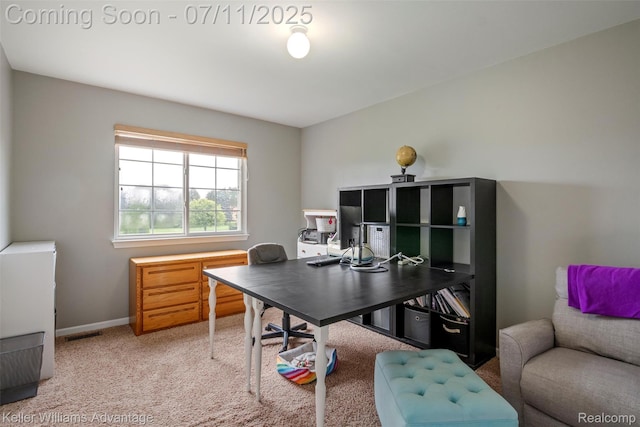 12566 Cedar View Ln, South Lyon, MI 48178 - photo 30