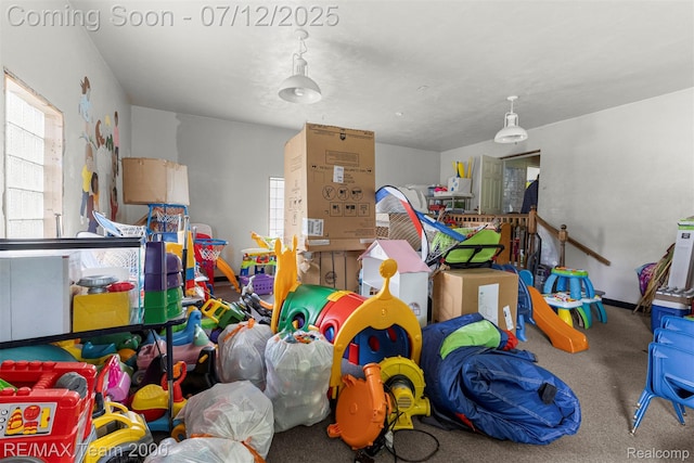 27055 Ann Arbor Trl, Dearborn Heights, MI 48127 - playroom featuring carpet and healthy amount of natural light