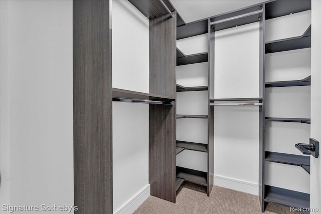 411 S Old Woodward Ave Unit 924, Birmingham, MI 48009 - walk in closet featuring carpet floors