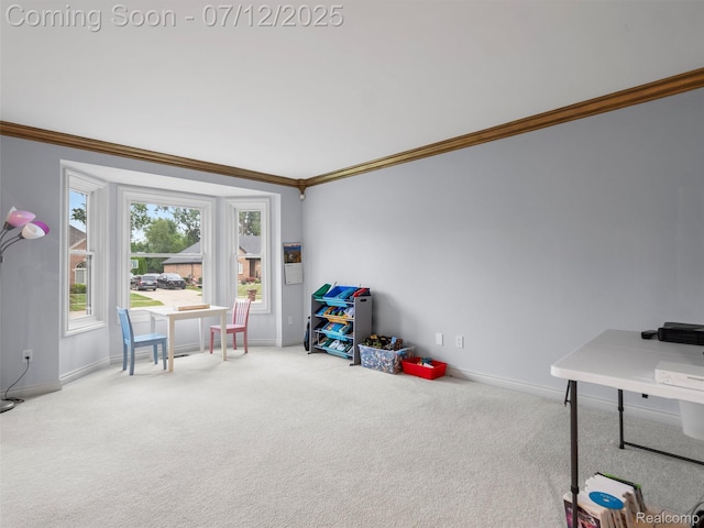 11064 Nature Way, Shelby Twp, MI 48317 - photo 22