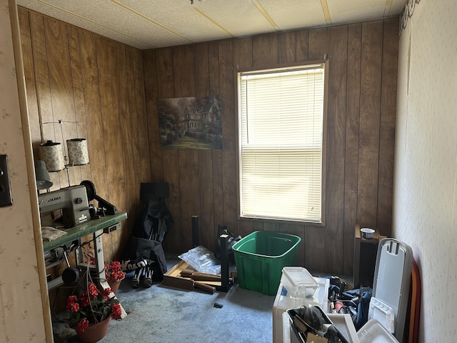 3245 W Leisura Loop, Baldwin, MI 49304 - office with carpet, wooden walls, and healthy amount of natural light