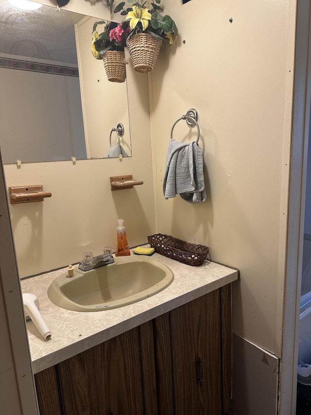 3245 W Leisura Loop, Baldwin, MI 49304 - bathroom featuring vanity
