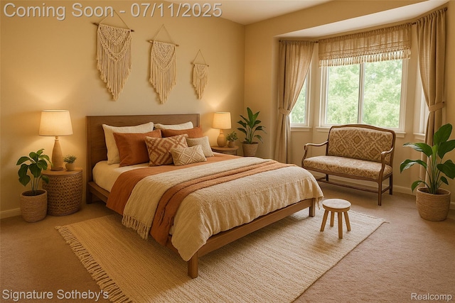 49866 Sleeping River Dr, Macomb, MI 48042 - bedroom featuring carpet flooring and baseboards