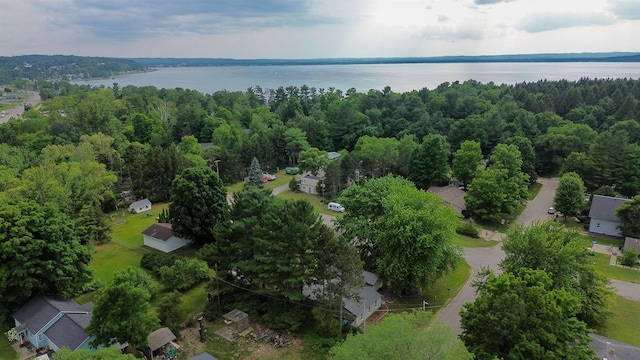 3826 Pearl St, Williamsburg, MI 49690 - photo 35