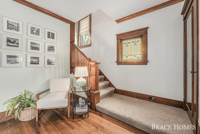 1035 Fountain St NE, Grand Rapids, MI 49503 - stairway featuring wood finished floors and ornamental molding