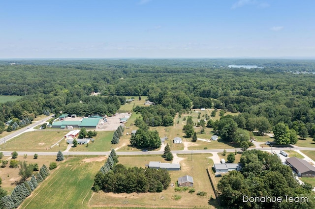 4875 Ferris Ave, Newaygo, MI 49337 - drone / aerial view of a heavily wooded area