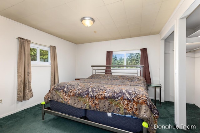 4875 Ferris Ave, Newaygo, MI 49337 - view of carpeted bedroom