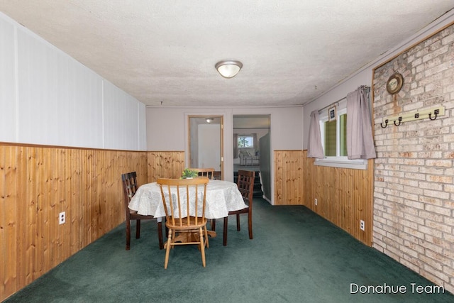 4875 Ferris Ave, Newaygo, MI 49337 - dining area featuring wooden walls, a wainscoted wall, carpet flooring, and a textured ceiling