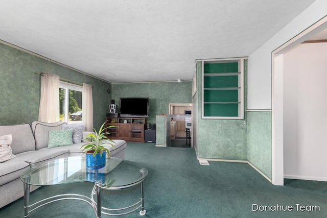 4875 Ferris Ave, Newaygo, MI 49337 - living room with carpet and a textured ceiling