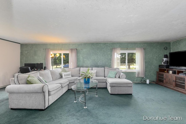 4875 Ferris Ave, Newaygo, MI 49337 - carpeted living room with a textured ceiling