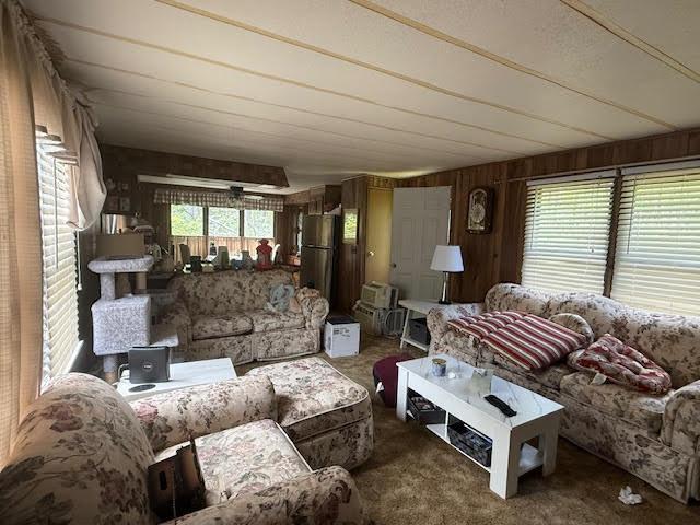 2040 Hill Rd, Lewiston, MI 49756 - carpeted living room with wooden walls
