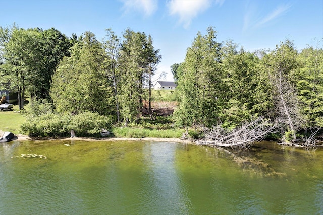 5400 Church Rd, Six Lakes, MI 48886 - photo 61