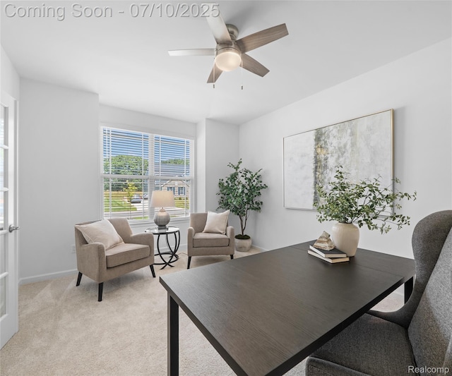 4399 Sparrow St, Ann Arbor, MI 48103 - photo 6