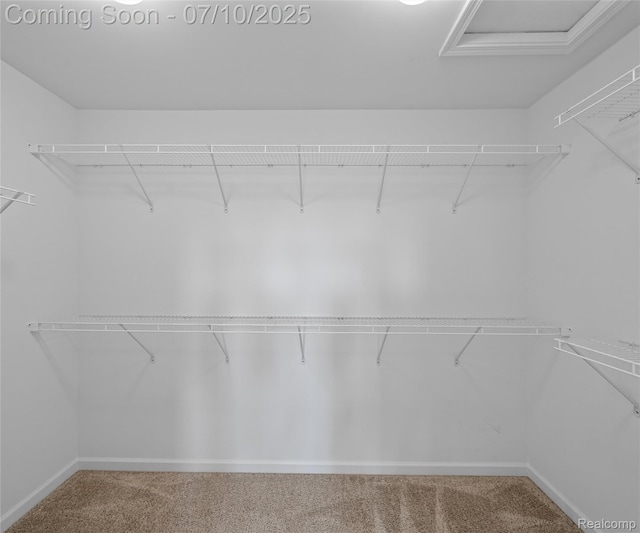 4399 Sparrow St, Ann Arbor, MI 48103 - photo 34