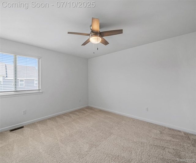 4399 Sparrow St, Ann Arbor, MI 48103 - photo 39