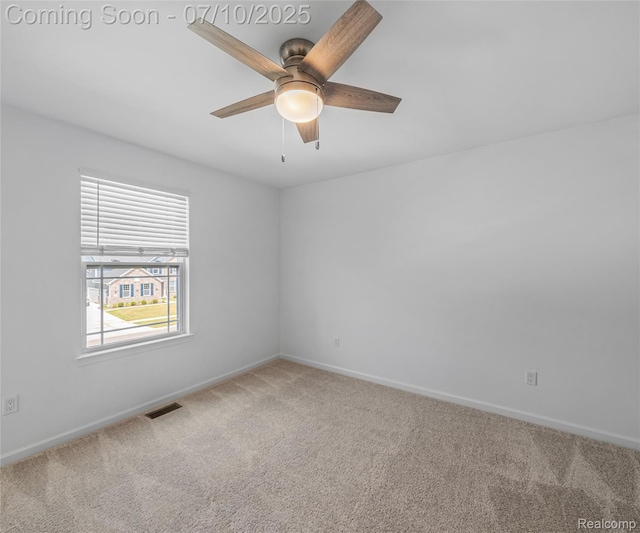 4399 Sparrow St, Ann Arbor, MI 48103 - photo 41