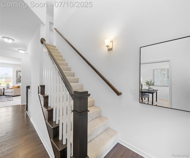 4399 Sparrow St, Ann Arbor, MI 48103 - photo 20