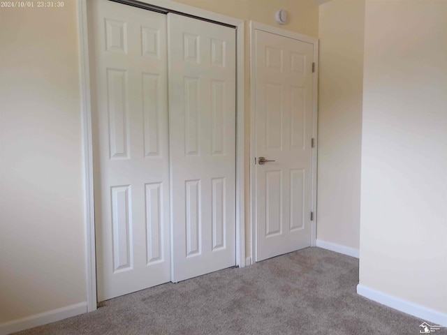 27354 Oakcrest Dr, Brownstown, MI 48183 - unfurnished bedroom with carpet and a closet