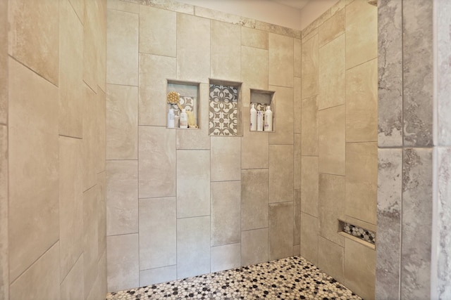12529 E Tuscola Rd, Frankenmuth, MI 48734 - full bath with tiled shower