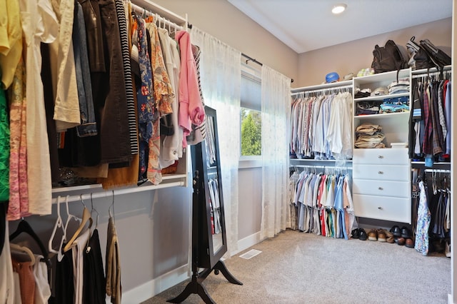 12529 E Tuscola Rd, Frankenmuth, MI 48734 - walk in closet with carpet floors