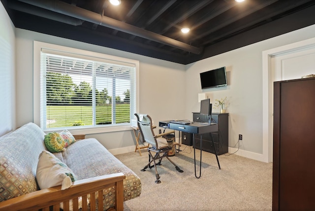 12529 E Tuscola Rd, Frankenmuth, MI 48734 - office space featuring carpet flooring and recessed lighting