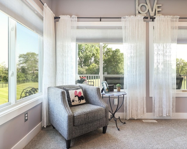 12529 E Tuscola Rd, Frankenmuth, MI 48734 - sunroom / solarium with plenty of natural light
